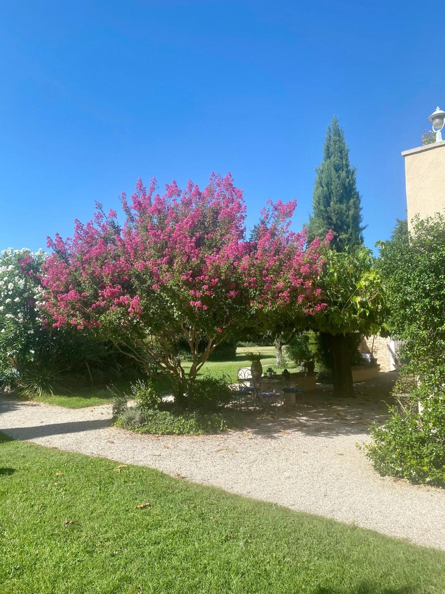 モントゥー Mas Les Fleurs D'Hilaire Bed & Breakfast エクステリア 写真